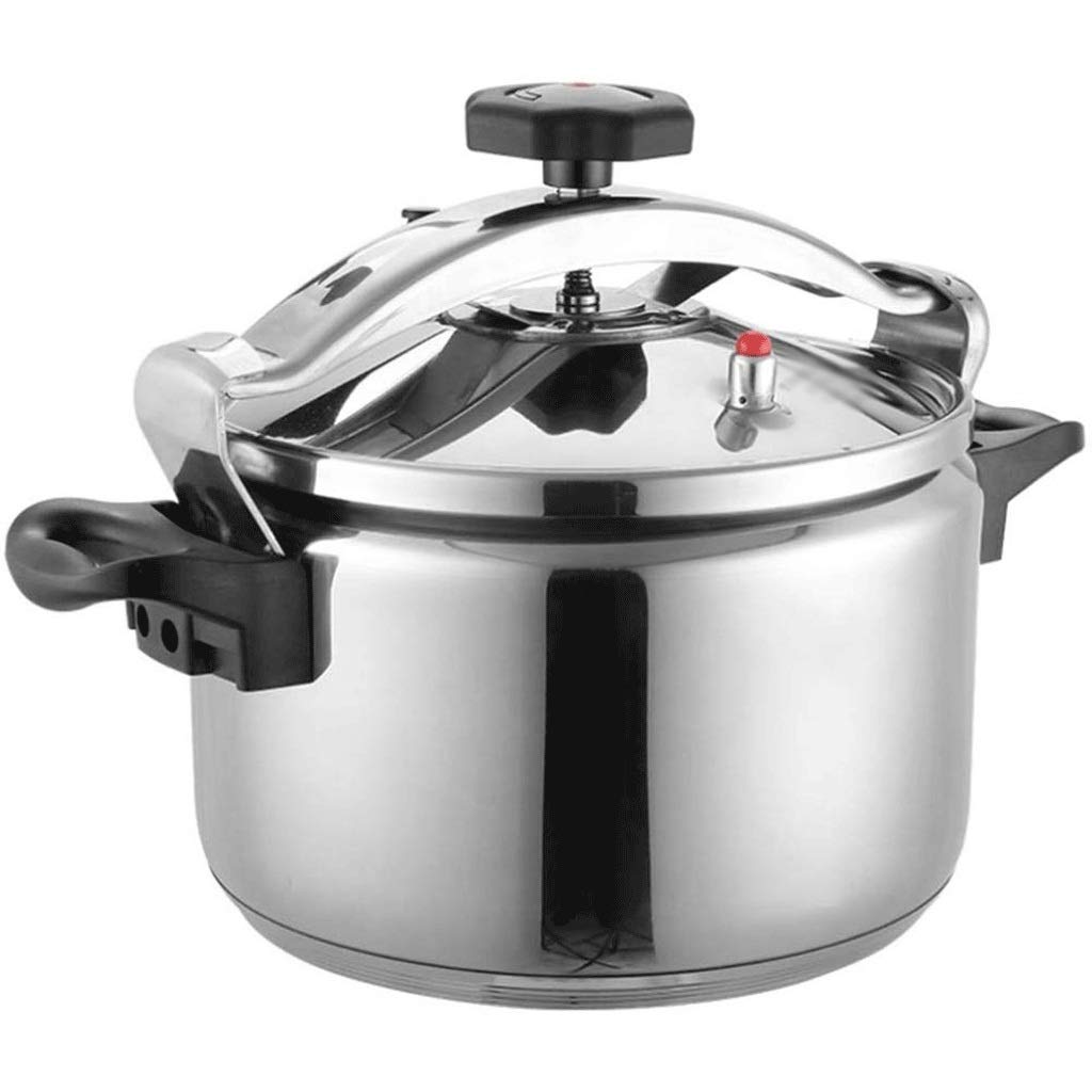 Stainless Steel 3L Electric Pressure Cooker Y21892