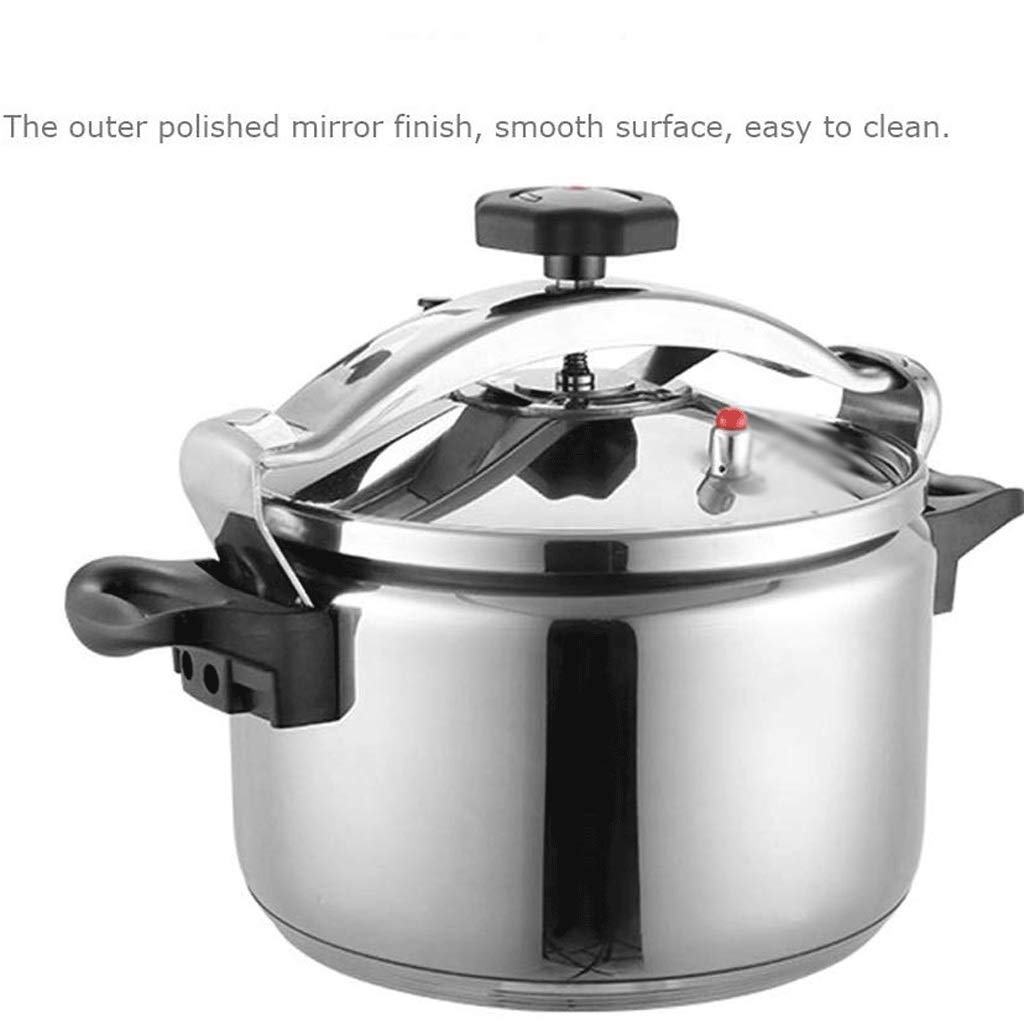 Stainless Steel 3L Electric Pressure Cooker Y21892