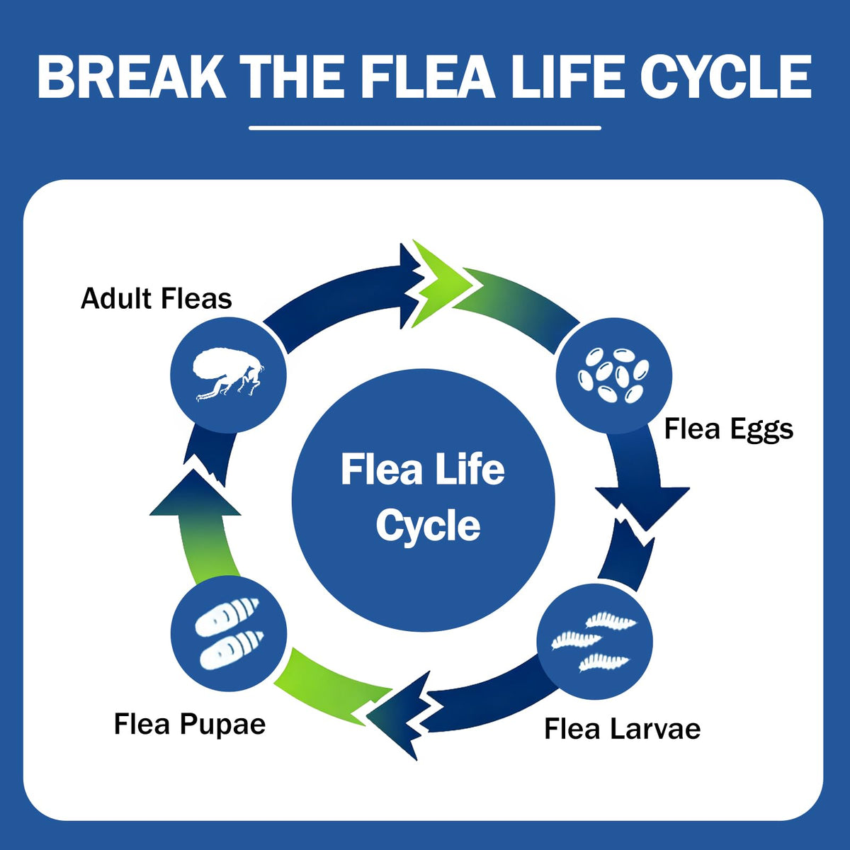 Flea and Tick Prevention for Small and Medium Dogs V53822