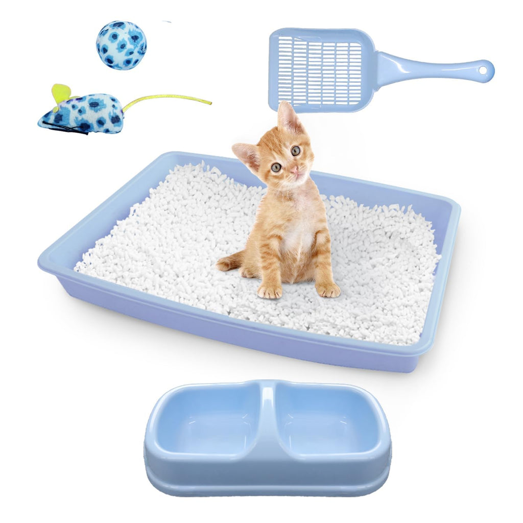 Cat Litter Box Set with Litter Scoop, Double Dish Cat Bowl, Mouse and Ball Toy A19687