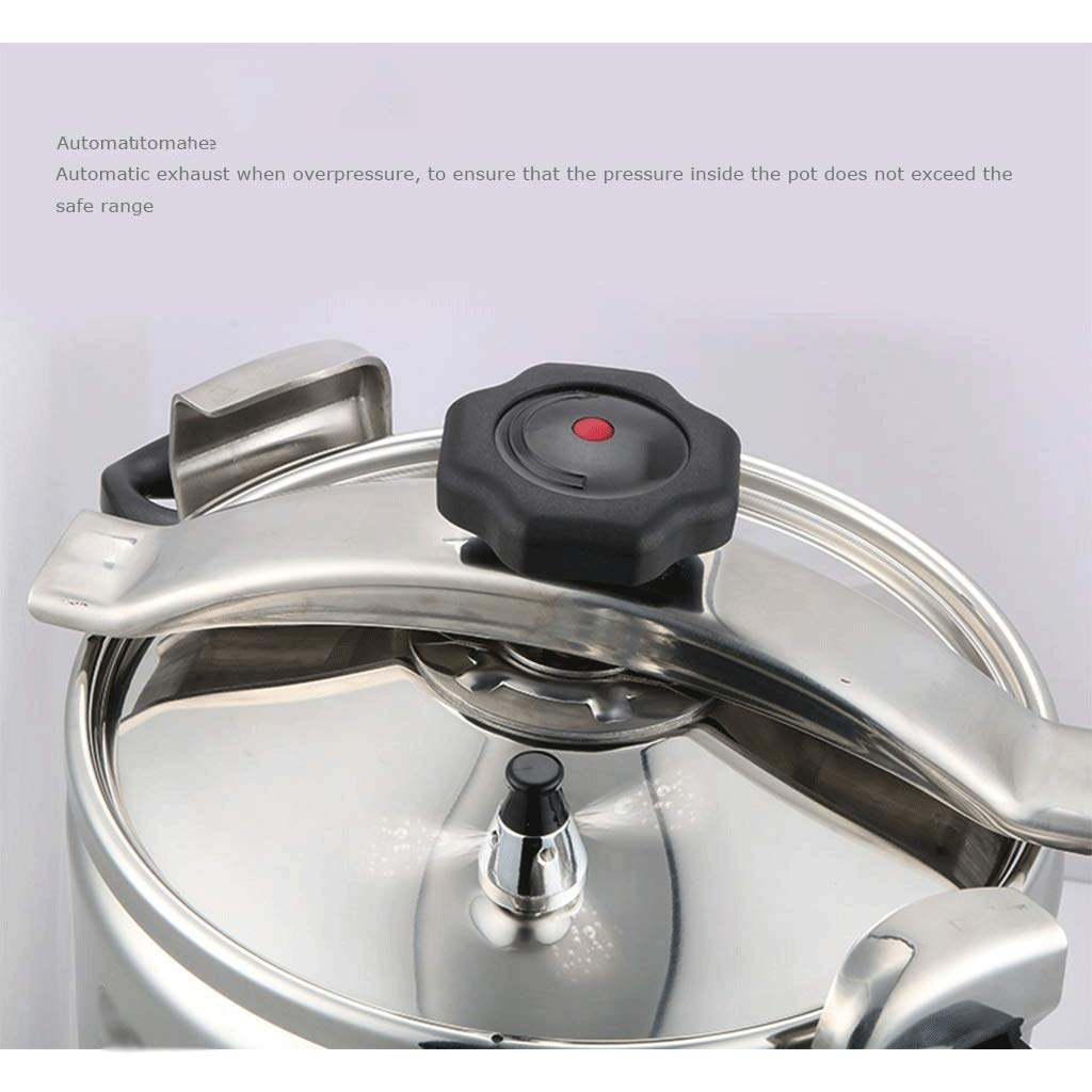 Stainless Steel 3L Electric Pressure Cooker Y21892