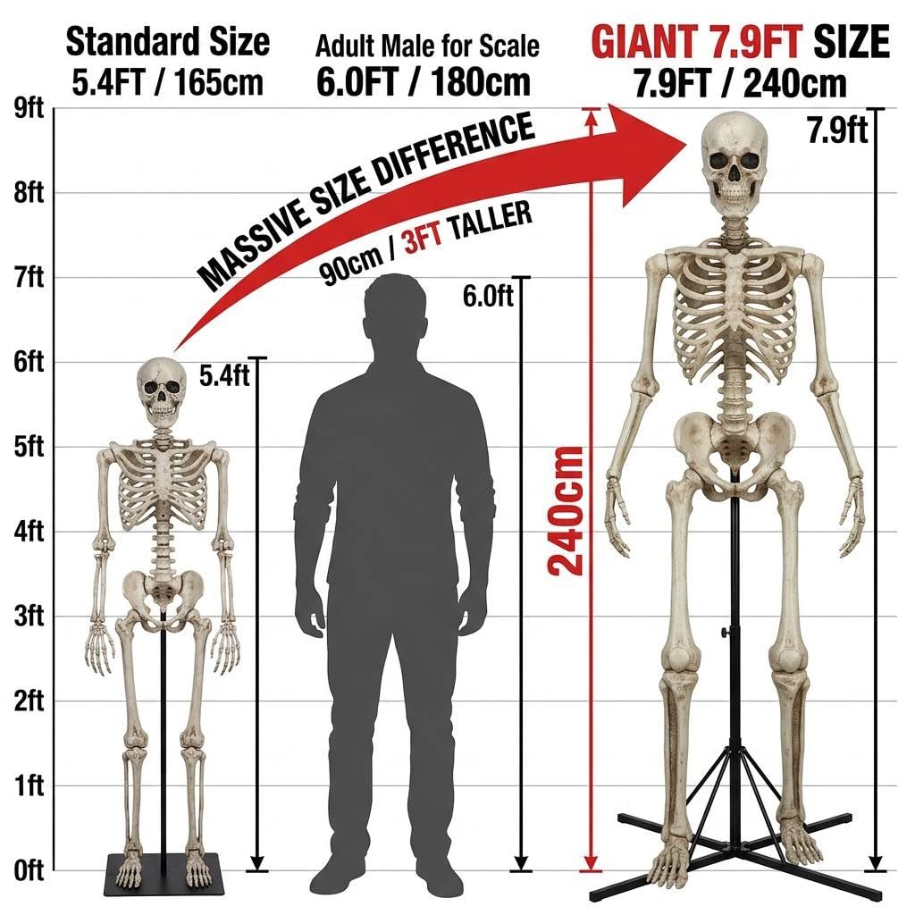 7.9FT Life Size Posable Skeleton C4905