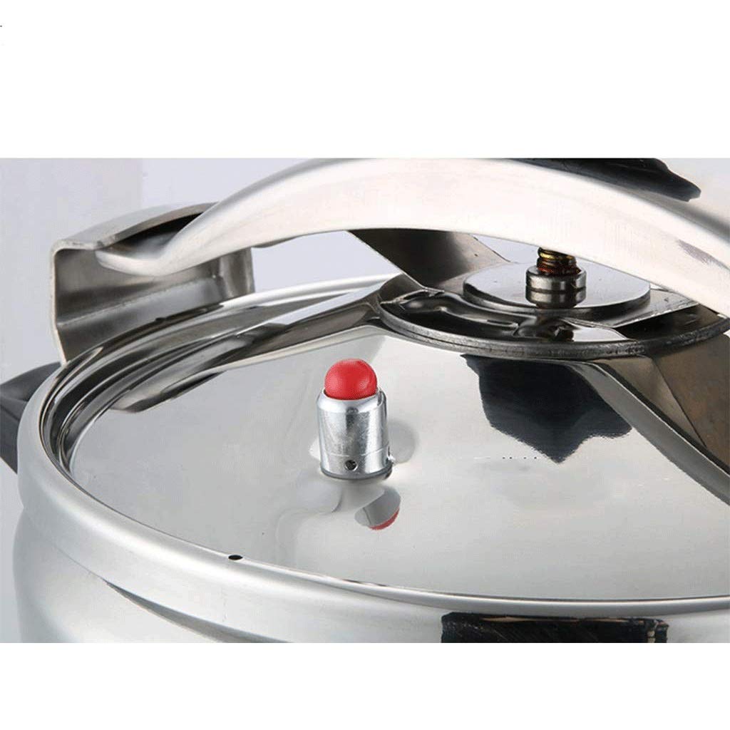 Stainless Steel 3L Electric Pressure Cooker Y21892