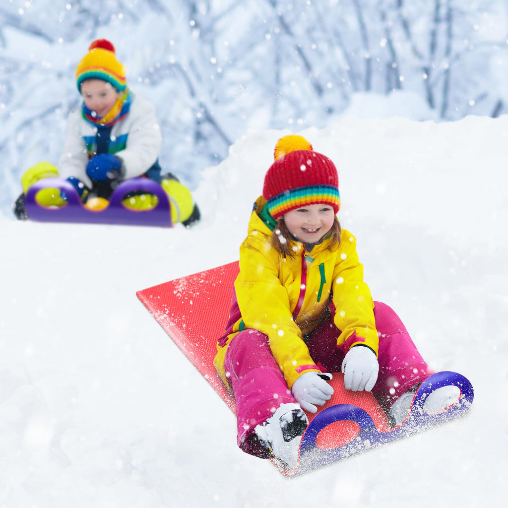 2 PCS Snow Sled D77407
