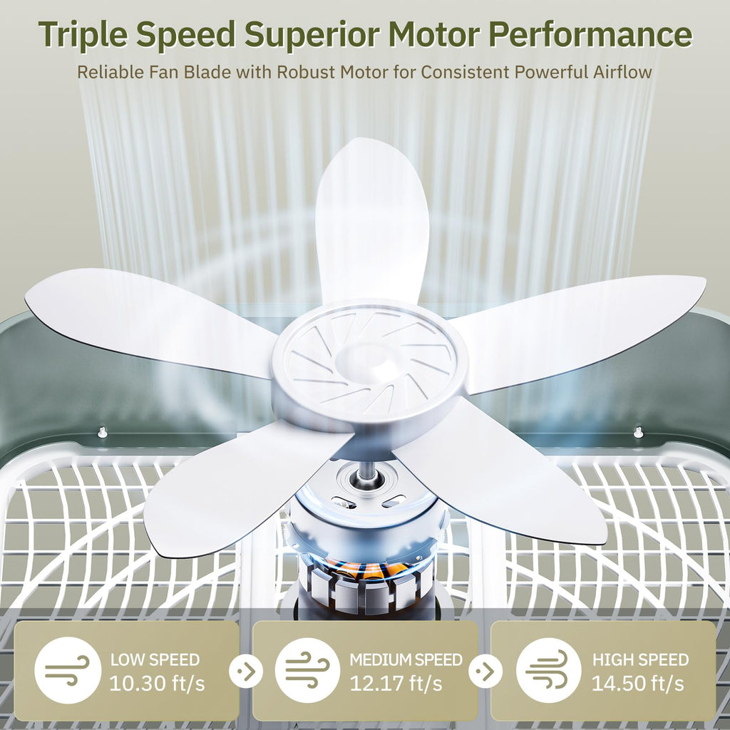 20” Box Floor Fan, 3-Speed White P81683