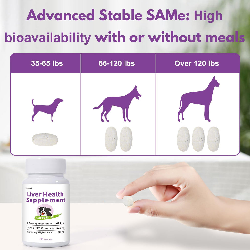 Large Dog Liver Support with 425 mg S-Adenosylmethionine & Silybin A+B, 30 Tablets A768794