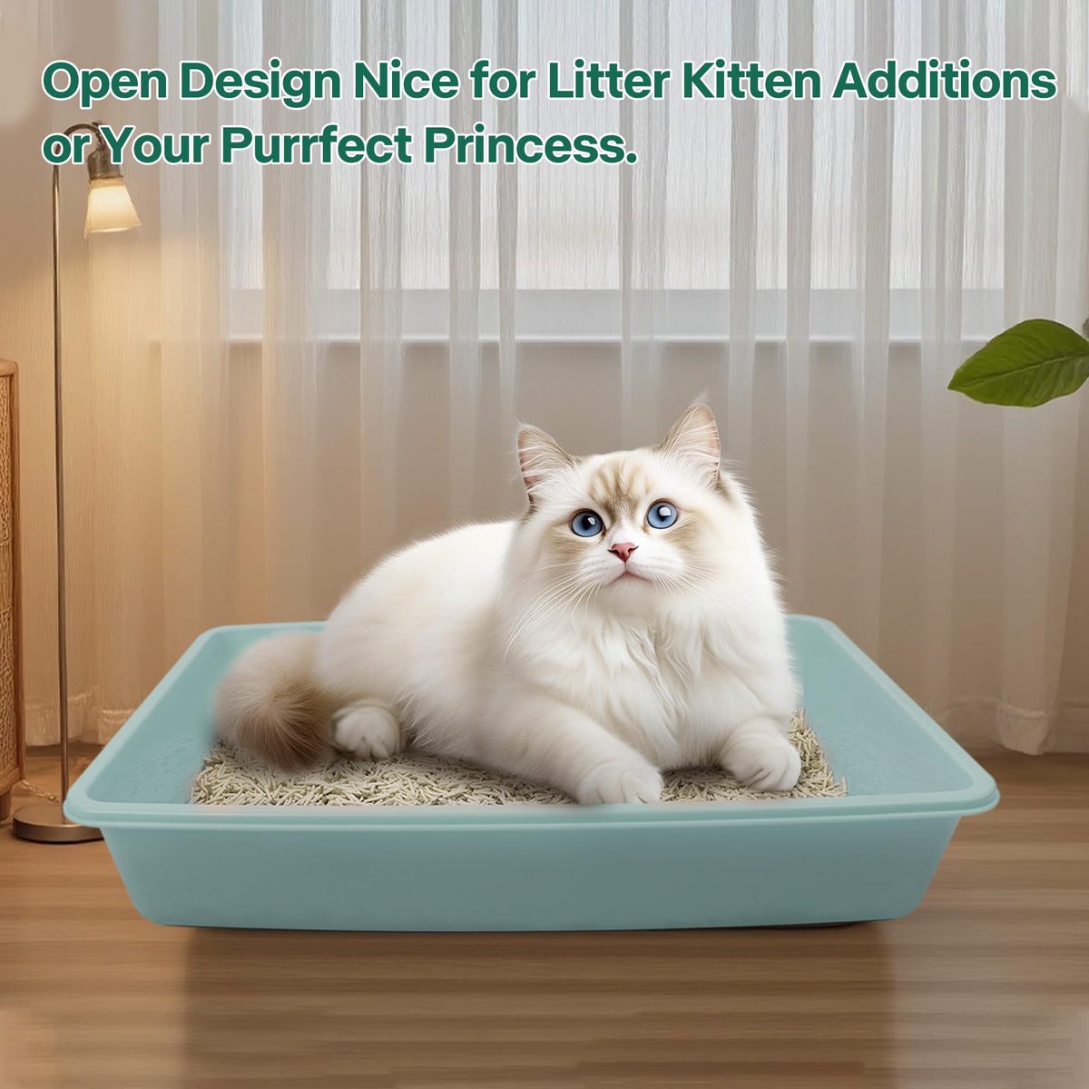 Small Cat Litter Box Starter Kit with Scoop, Bowls and Toys A432