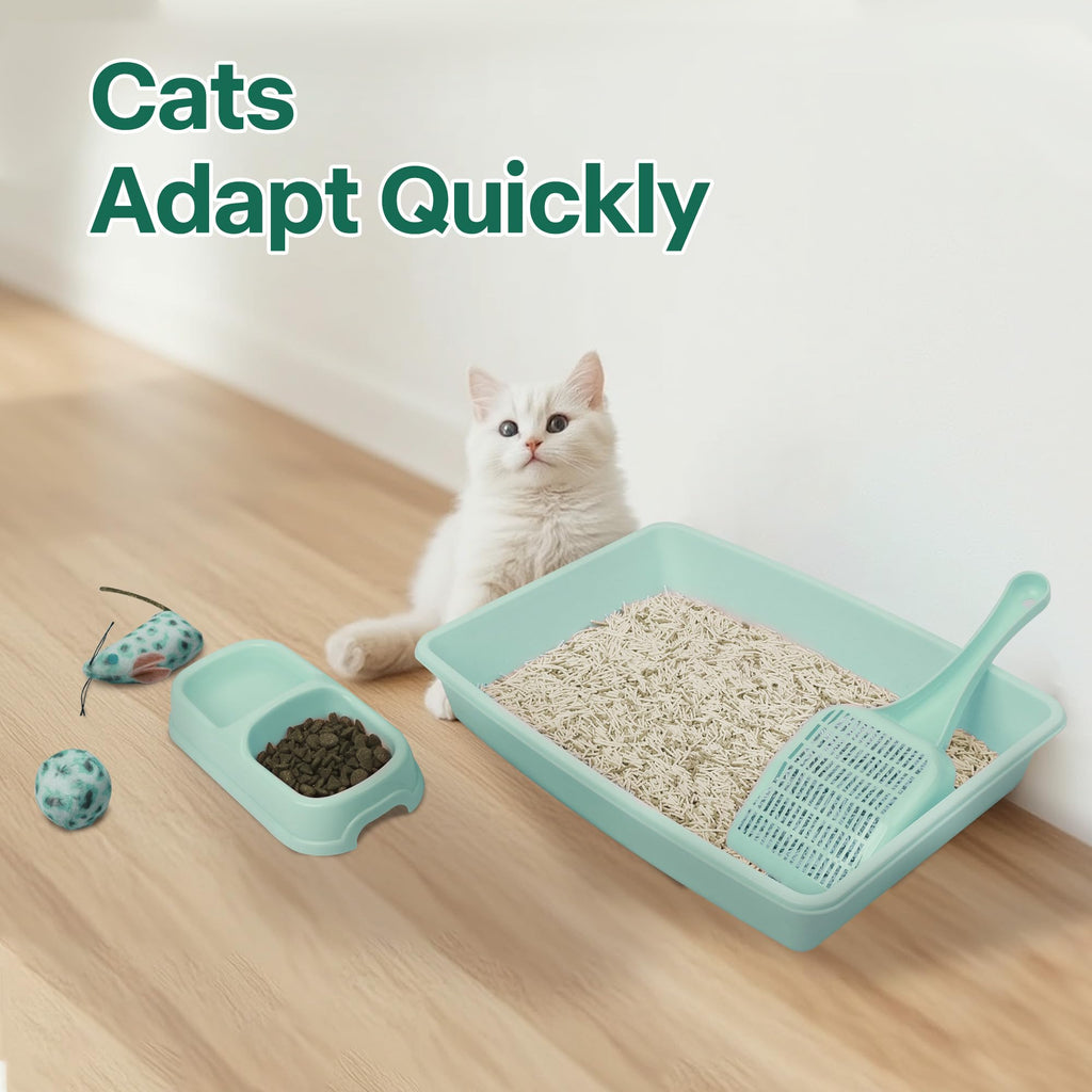 Small Cat Litter Box Starter Kit with Scoop, Bowls and Toys A432