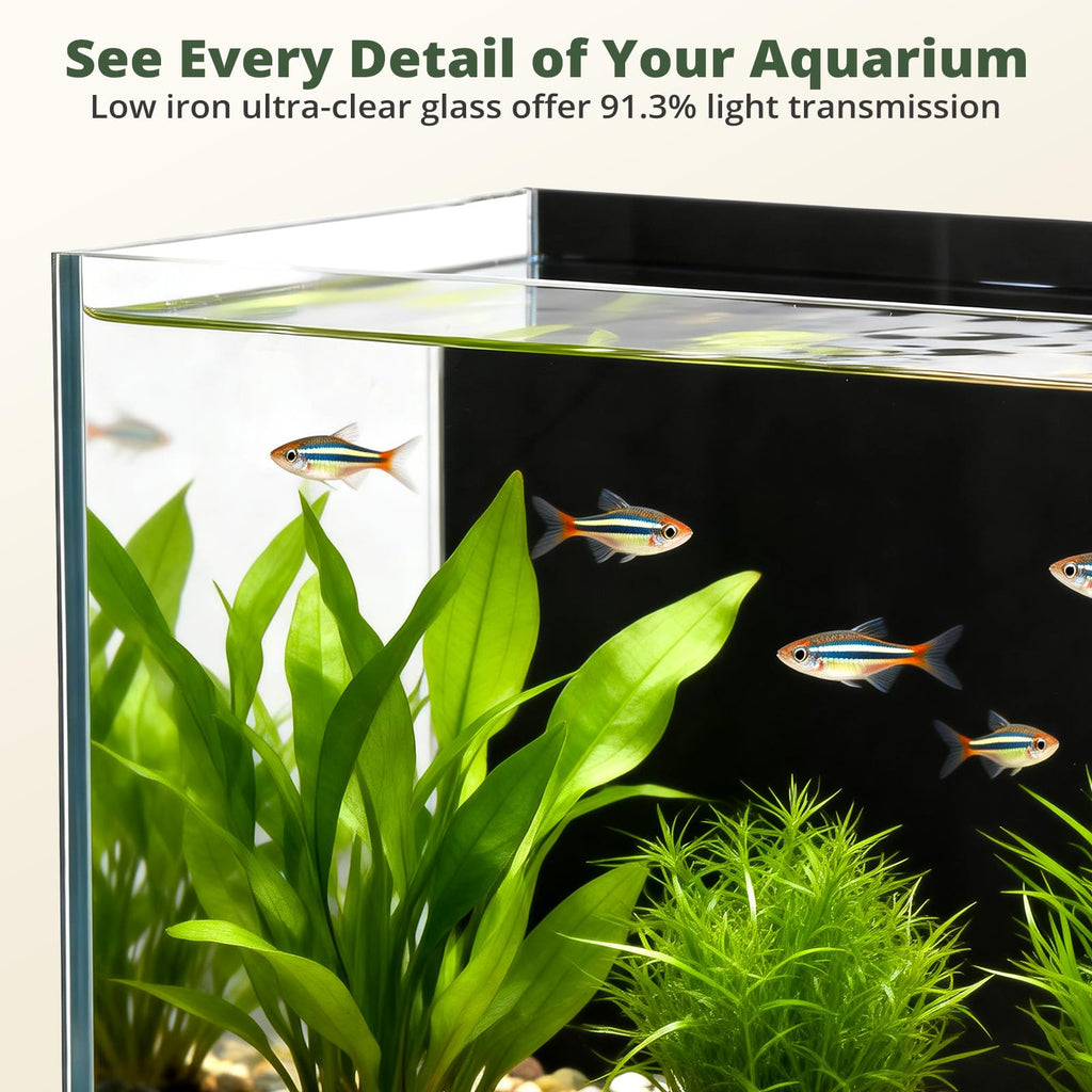 2.5 Gallon Fish Tank with Filter D2464