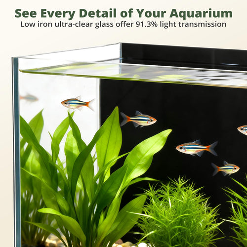 2.5 Gallon Fish Tank with Filter D2464