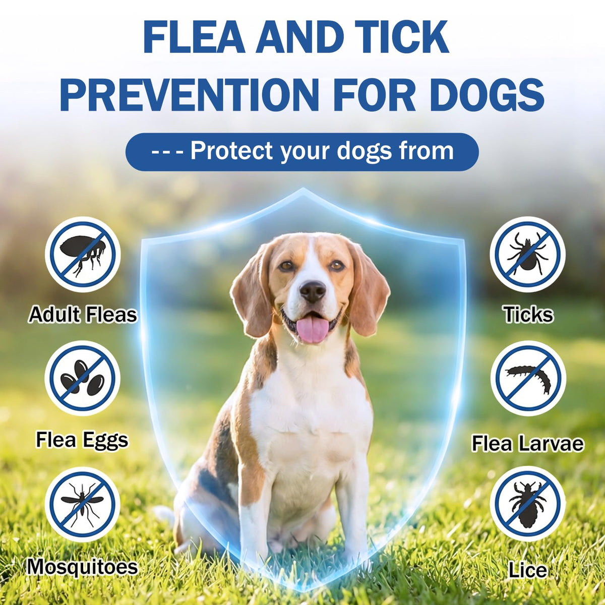 Flea and Tick Prevention for Small and Medium Dogs V53822