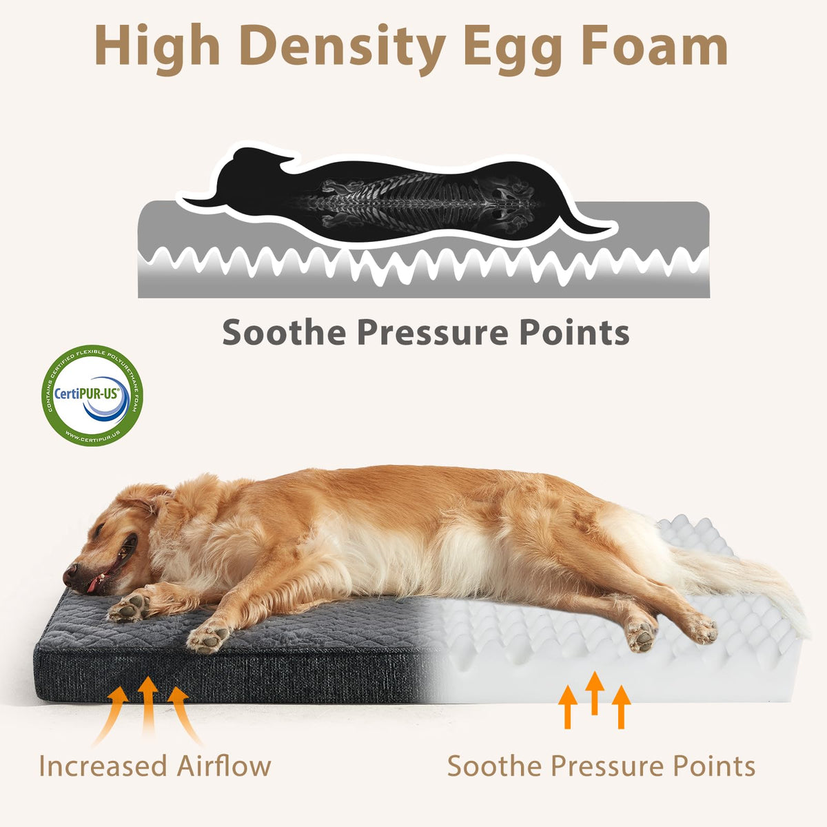 XL Waterproof Orthopedic Dog Bed B144
