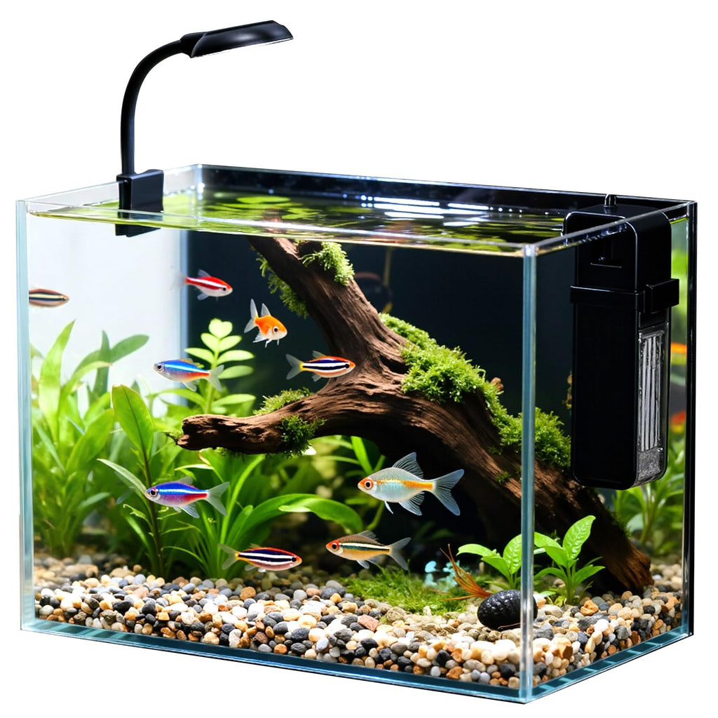 2.5 Gallon Fish Tank with Filter D2464