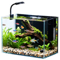 2.5 Gallon Fish Tank with Filter D2464