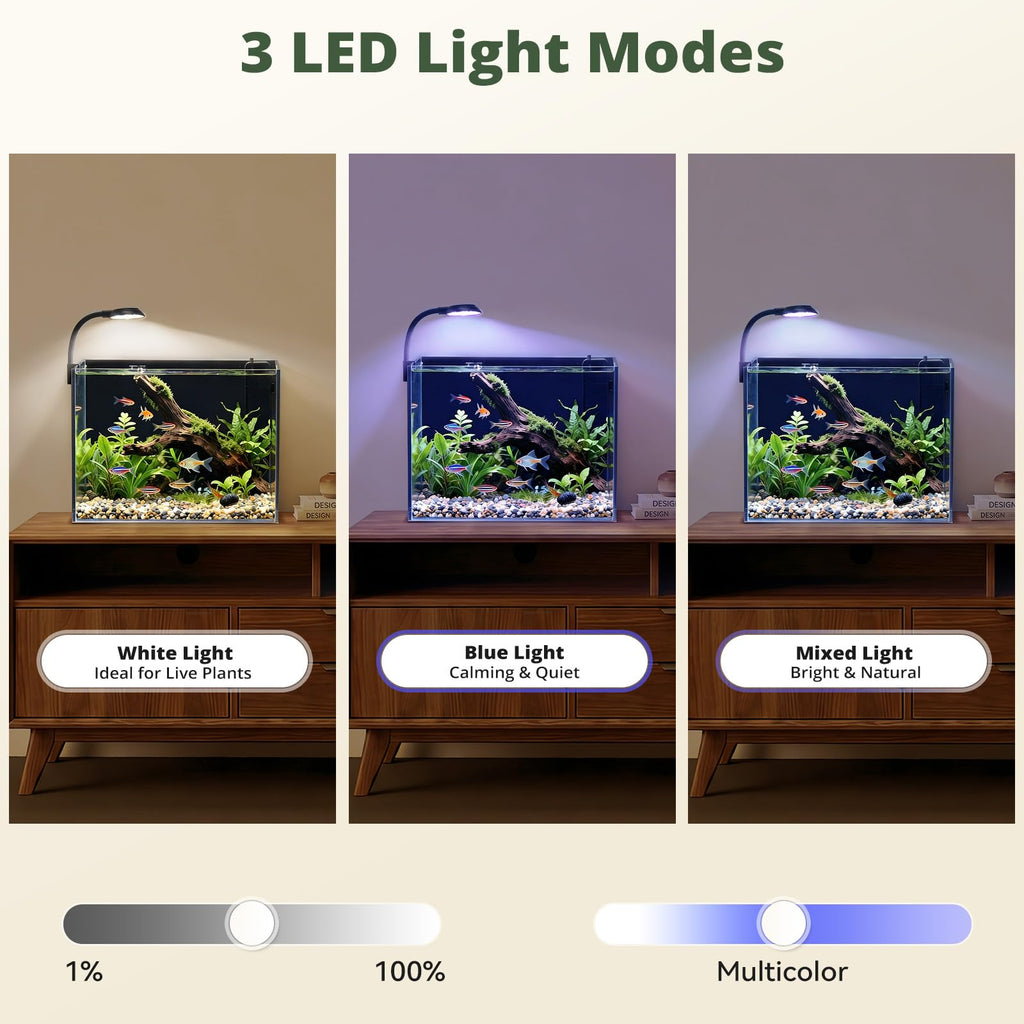 2.5 Gallon Fish Tank with Filter D2464