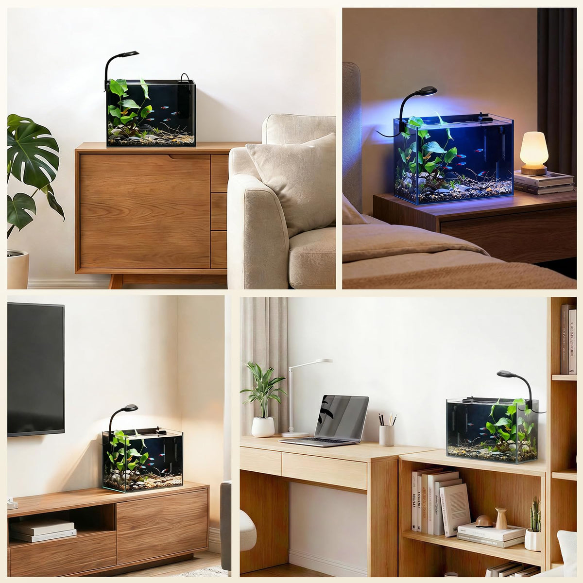 2.5 Gallon Fish Tank with Filter D2464