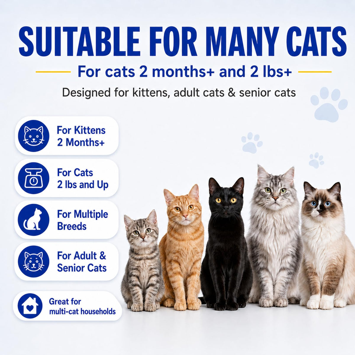 Cat Dewormer Tablets for Tapeworms, Roundworms and Hookworms V7324