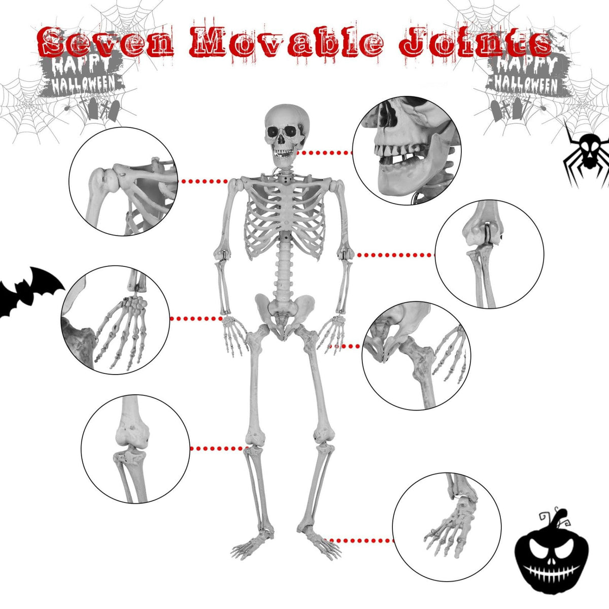 5.4Ft Posable Life Size Full Body Skeleton with Movable Joints Z989