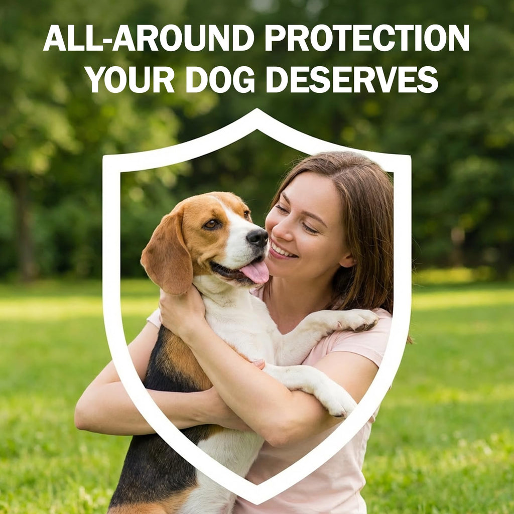 Flea and Tick Prevention for Small and Medium Dogs V53822