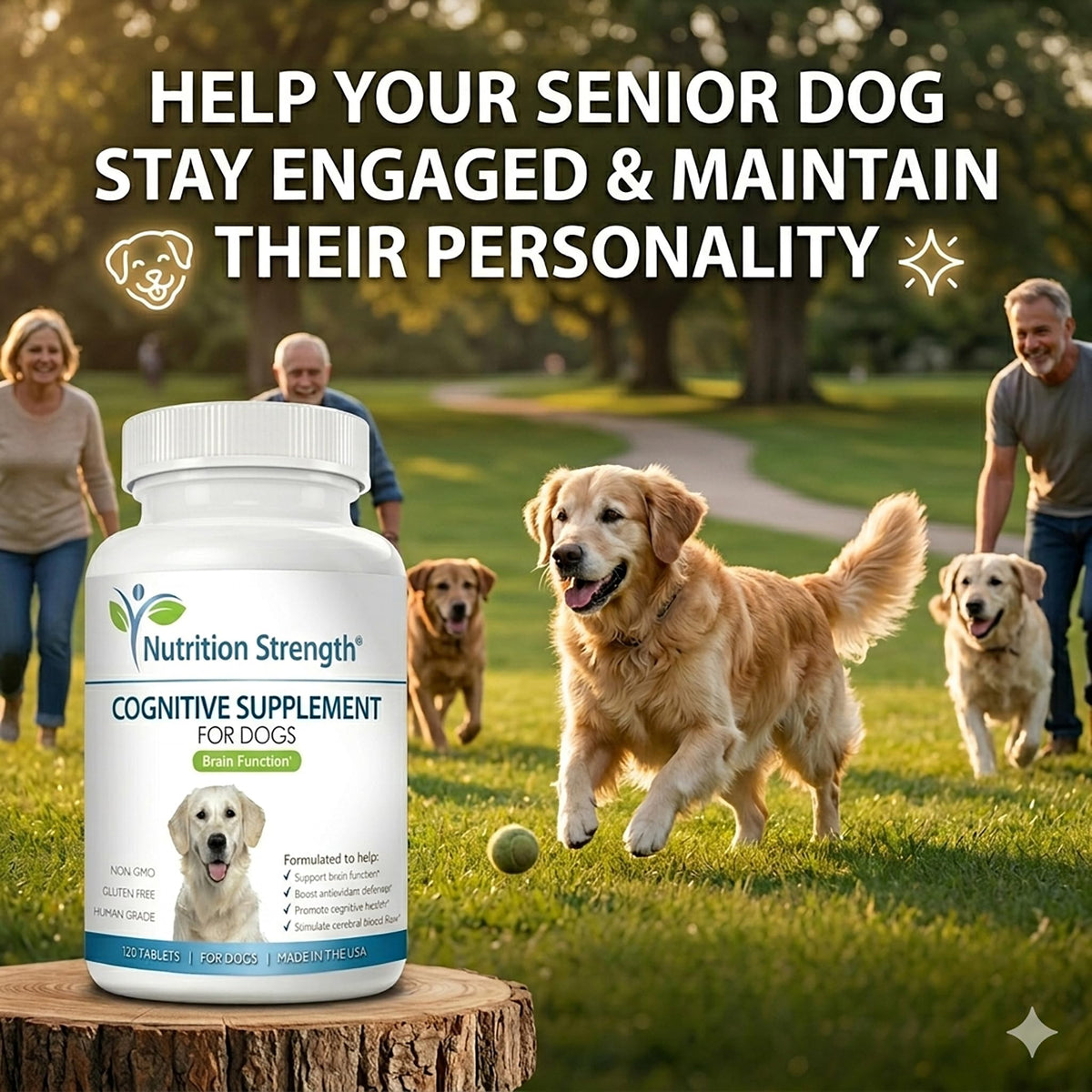 120 Chewable Tablets Cognitive Support Dog Supplement F947