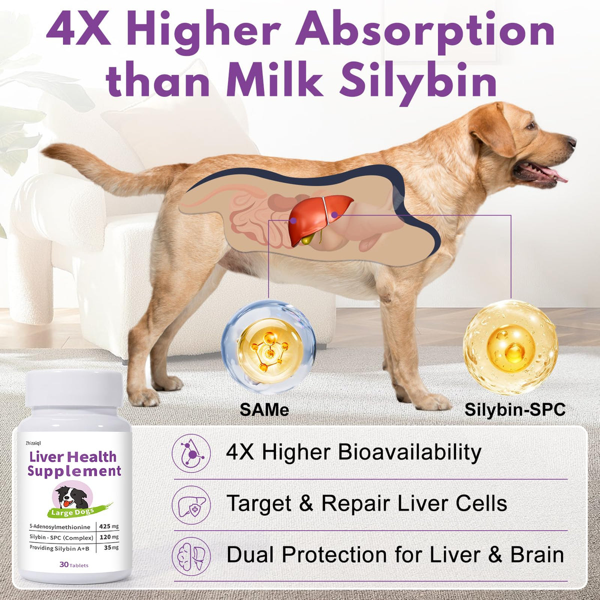 Large Dog Liver Support with 425 mg S-Adenosylmethionine & Silybin A+B, 30 Tablets A768794