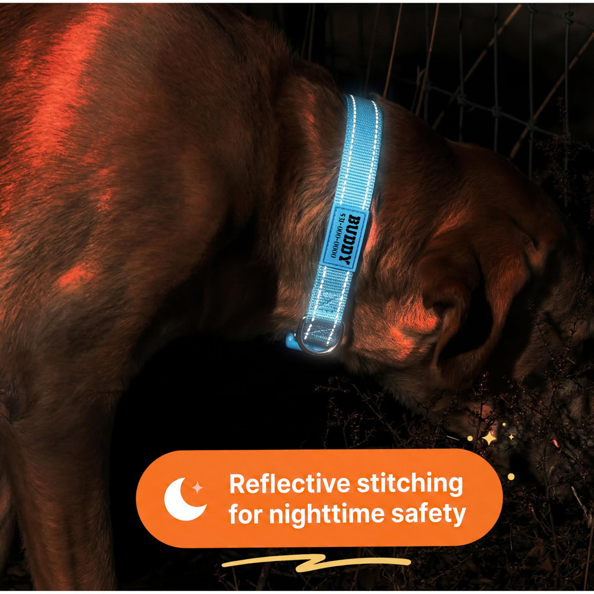 Reflective Nylon Personalized Dog Collar O442181
