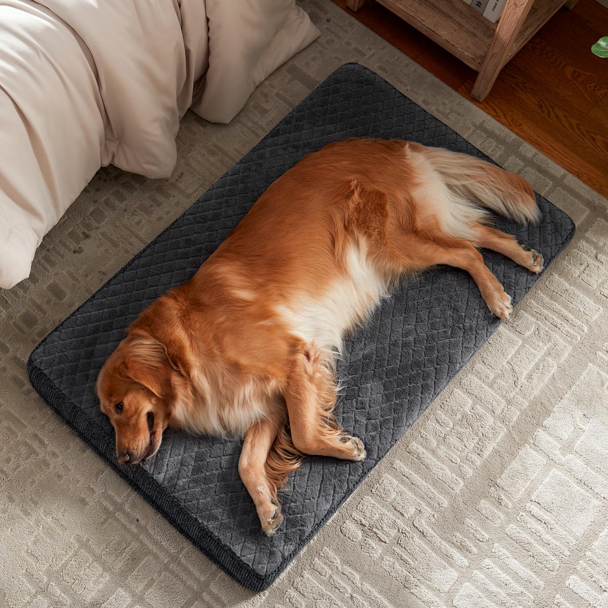 XL Waterproof Orthopedic Dog Bed B144
