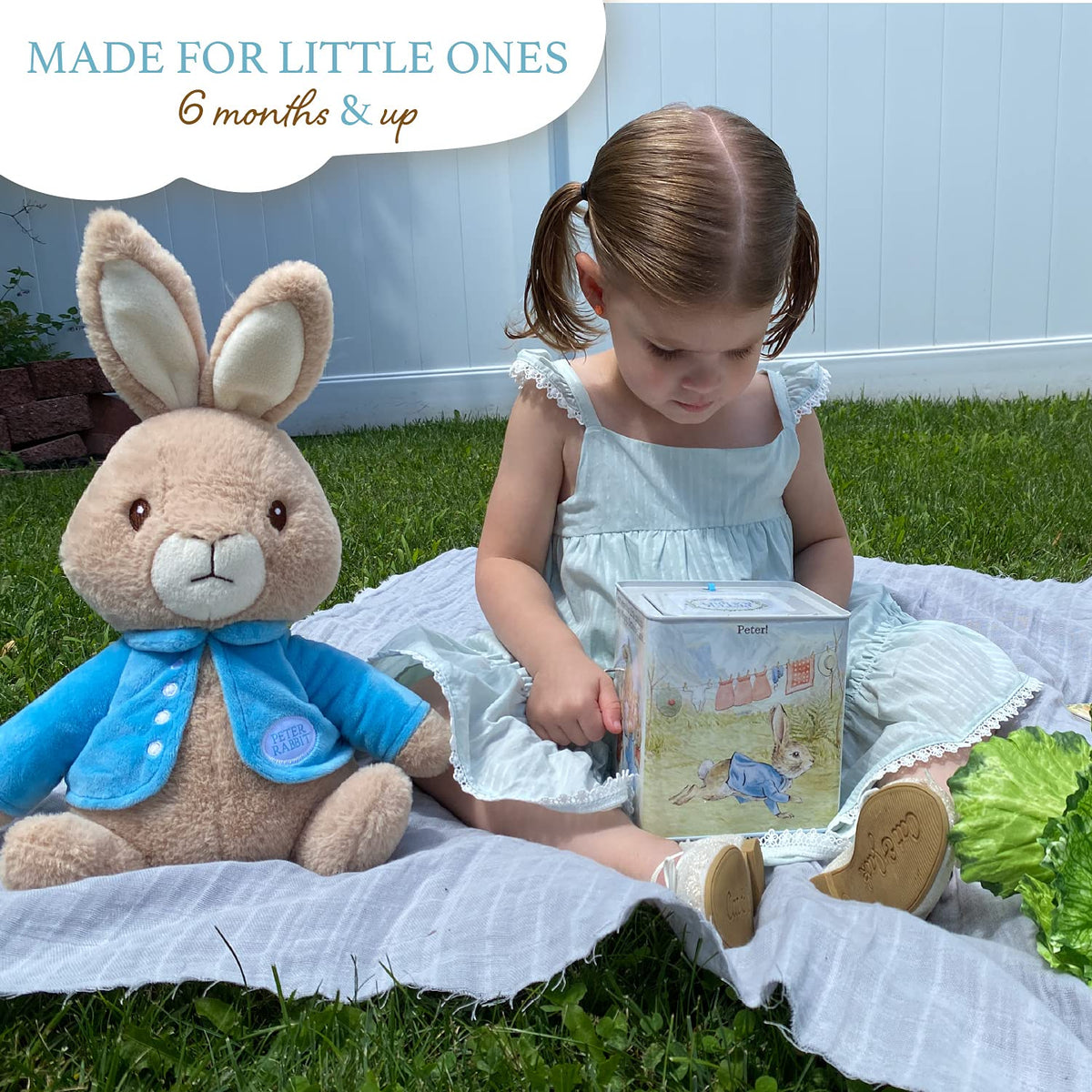 Peter Rabbit Jack-in-The-Box A549853