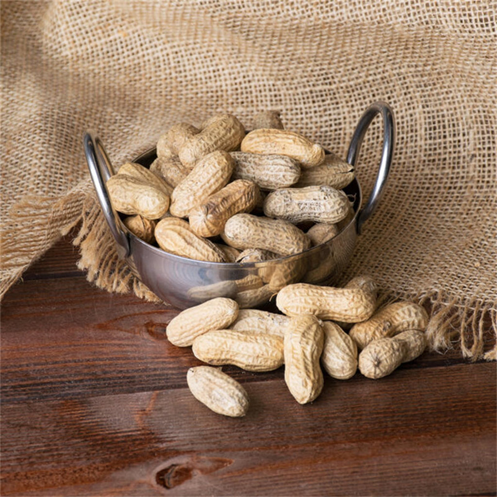 Roasted Unsalted in-Shell Peanuts 25 lb F478890