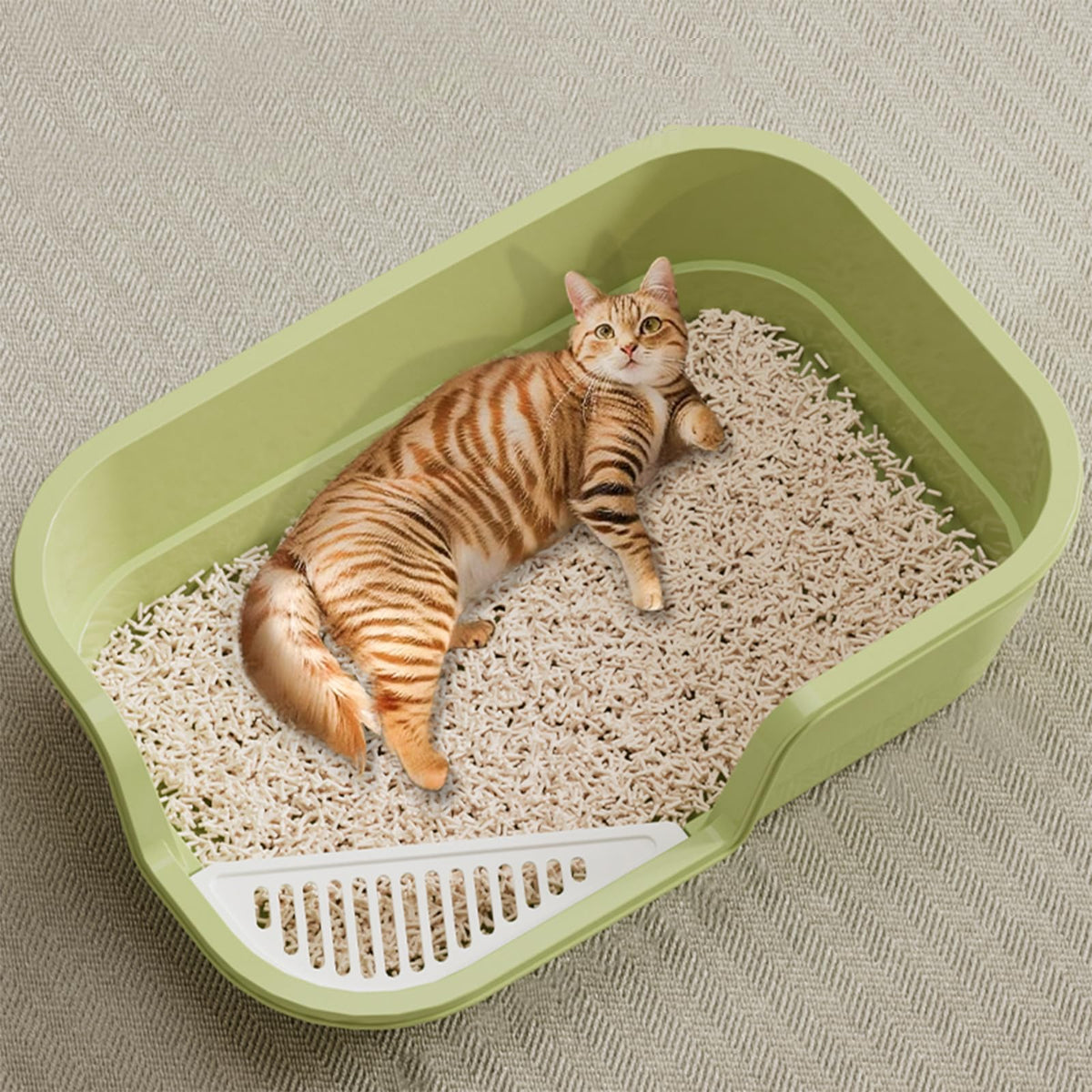 Extra Large High Sides Low Entry Cat Litter Box W47104