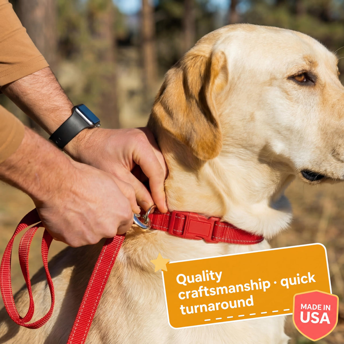 Reflective Nylon Personalized Dog Collar O442181