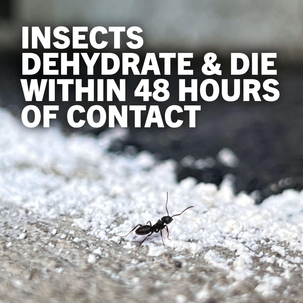 4 lb Diatomaceous Earth Crawling Insect Killer A8438