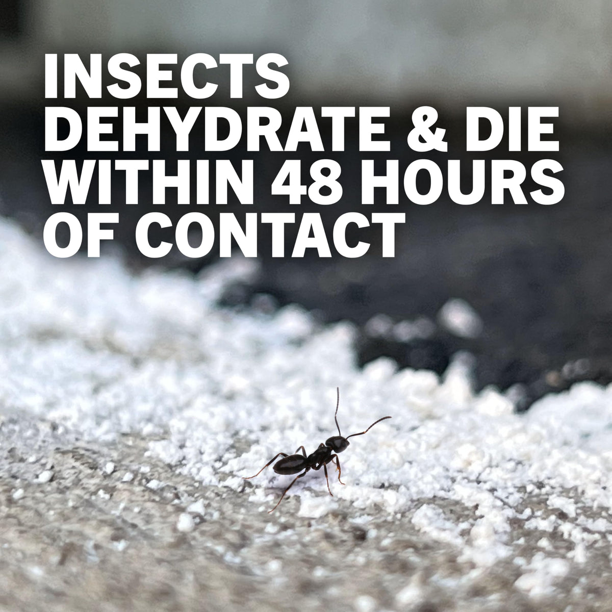 4 lb Diatomaceous Earth Crawling Insect Killer A8438